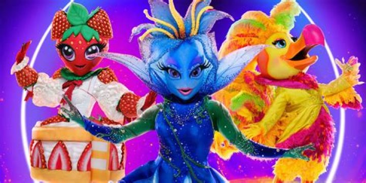 Beach Ball Masked Singer Age, Birthday, Wikipedia, Who, Nationality, Biography