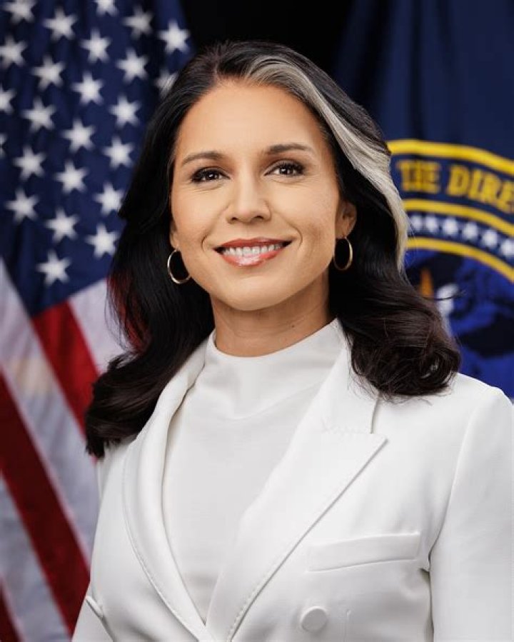 
Who Is Harry Kazianis From The National Interest And What Did He Say About Tulsi Gabbard? 